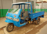 Triciclo Gurgel TA-01 utilizado no transporte de botijões de GLP, fotografado em Itajubá (MG), em 2008; a capota de fibra é acessório opcional (foto do autor).