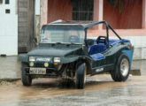 Matriculado em Natal (RN), em dia de chuva este Gamo foi encontrado em São Miguel dos Milagres (AL) (foto: LEXICAR).