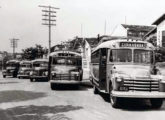 Parte da frota da antiga Viação Bonavita, de Itu (SP), tendo dois Chevrolet 1948-52 com carroceria Grassi à frente (fonte: Ivonaldo Holanda de Almeida / FETPESP).