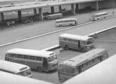 Ao centro, um Grassi-LP com acabamento externo simplificado estacionado na Estação Rodoviária de Brasília (DF) (fonte: Ivonaldo Holanda de Almeida).