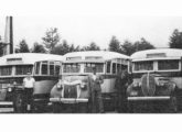 Parte da frota de ônibus dos irmãos Kumm, de Blumenau, em 1947; os três veículos levavam carrocerias de madeira fabricadas por Max Hertel (da esquerda para a direita, Chevrolet 41-46, Ford 40-41 e Ford 38-39).