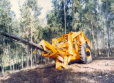 Feller buncher com guilhotina, em operação de direcionmento da queda da árvore após o corte.