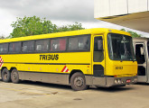 Tribus III, lançado em 1989; na imagem, um carro da Itapemirim e outro da Penha, fotografados em 2008 na BR-101/ES (foto: LEXICAR).
