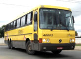 Tribus IV em chassi próprio com motor Mercedes-Benz atendendo à linha Fortaleza-São Paulo em dezembro de 2008 (foto: Welder Dias / welderbus).