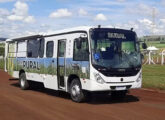 Bus Rural, para transporte de trabalhadores agrícolas e atividades no campo, lançado no Agrishow 2023.  