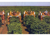 Bateria de colhedoras de café Jacto K-3 em operação, em 1993 (fonte: Globo Rural).
