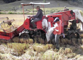 Máquina Leila colhendo arroz no distrito de Santa Maria, em Benedito Novo (SC), em 2013; a imagem é do Youtube.