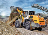 Liebherr L 556.