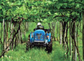 Trator R50 customizado para o cultivo de uvas em teste da revista Cultivar; para operar em vãos livres de até  1,70 m, a altura total da máquina foi reduzida e o assento do operador rebaixado (foto: Charles Echer / Cultivar Máquinas).