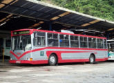 Trólebus Mafersa de Santos, fotografado em 2008 ainda nas cores antigas da CSTC (foto: Gabriel Dias / omensageiro).