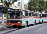 Também sobre LPO era este Veneza II da Viação Araçatube, de Niterói (RJ) (foto: Donald Hudson / onibusnostalgia).