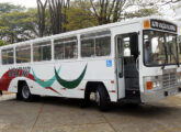 Veneza III sobre LPO-1113 restaurado pela empresa Voltur, de Oliveira (MG), exposto no 3o encontro de ônibus antigos de Pará de Minas (foto: Adamo Bazani / diariodotransporte).