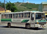 Marcopolo III SE sobre Mercedes-Benz LPO-1113, ainda em 2012 em operação pela empresa Trans Campos, de Canguçu (RS) (foto: Israel Oliveira dos Santos / onibusbrasil).