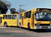 Articulado San Remo II em chassi Volvo operando no transporte público urbano de Chapecó (SC) (fonte: portal dbpbuss).