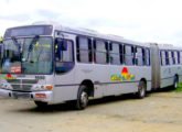 Um dos dois Torino 99 em chassi Mercedes-Benz OF-1722 com reboque na frota da Viação Cidade de Maceió, operadora urbana da capital de Alagoas (foto: Willian Pontual / mobceara).