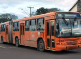 Mais um Torino 99 articulado, este apenas com portas à direita, servindo ao transporte metropolitano de Curitiba (PR) (foto: Isaac Matos Preizner).