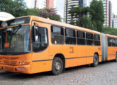 Outro Torino articulado paranaense, este aplicado às linhas troncais urbanas de Curitiba (foto: Juverci de Melo das Neves / portaldoonibus).