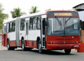 Articulado Torino em chassi Volvo B58 operado em Manaus (AM) pela Rondônia Transportes (foto: Elioenai de Araújo /onibusbrasil).  