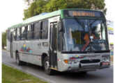 Um Viale sobre Mercedes-Benz OF-1721 da Auto Viação Nosa Senhora da Piedade, de Maceió (AL) (fonte: Samuel Ronaldo).