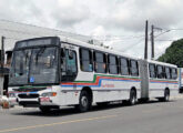 Articulado Viale em chassi de motor dianteiro Mercedes-Benz OF-1722, em 2011 operando em João Pessoa (PB) pela Trans Nacional (foto: Marcos Cabral Filho).