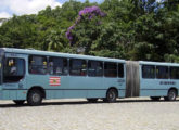 O mesmo ônibus em vista lateral (foto: César Mattos / valebus).