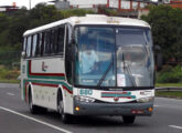 Viaggio 1050 sobre Volvo B9R da RD Transportes, de Salvador (BA) (foto: Gênesis Freitas / onibusbrasil).