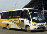 Um micro Senior, em 2018 operando no transporte urbano da cidade de Linares, Chile (foto: Sergio Arteaga / tatobuses).