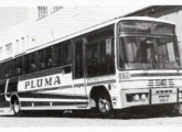 Marcopolo III em chassi Scania B-111, adquirido em 1980 pela operadora internacional paranaense Pluma (fonte: Jorge A. Ferreira Jr.).