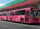 Gran Viale articulado em chassi Volvo B12M operado em Manaus (AM) pela Eucatur, aqui trazendo pintura alusiva à campanha nacional Outubro Rosa (foto: Rossano Guerreiro).