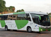 1050 G7 em chassi Scania K310 IB da empresa Comércio e Transportes Boa Esperança, de Belém (PA) (foto: Flávio Rodrigues Silva).