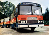 Romeu-e-Julieta: improvisação gaúcha de transporte de maior capacidade, criação conjunta da Marcopolo e Randon (fonte: Jorge A. Ferreira Jr.).