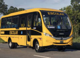 Segundo política própria de venda de chassis nus e encarroçados, a Iveco escolheu a Mascarello como responsável por seu ônibus escolar sobre o novo chassi 10-190, lançado em setembro de 2021; o modelo GranMicro S3 foi tomado como base.