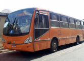 Também sobre chassi Agrale, agora com motor traseiro MT 12.0 SB, este GranMidi da Araucária Transportes Coletivos, de Araucária (PR), operava no sietema metropolitano integrado de Curitiba (foto: Gabriel Marciniuk /onibusbrasil).