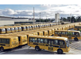Parte dos 2.000 ônibus Iveco com carroceria Mascarello entregues ao programa Caminho da Escola em 2024.