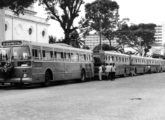 Os cinco trólebus Massari de Fortaleza no dia de sua inauguração (fonte: Ivonaldo Holanda de Almeida).