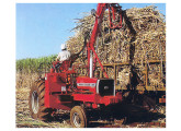 Trator MF 290 de 1984, equipado como transportador de cana-de-açúcar.