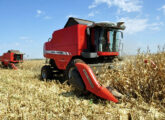 A colheitadeira híbrida Massey na cultura de milho (foto: Cultivar Máquinas).