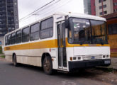 Maxibus-Ford rodoviário operando no transporte escolar de Curitiba (PR) (foto: John Berata / interbuss).