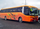 Rodoviário Lince 3.40, em operação no Chile – o maior mercado da Metalbus na primeira década do novo século (fonte: flickr/leopaparazzi).