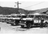 Frota de lotações Ford 1951-52 da Evanil - Empresa Viação Automobilística Nova Iguaçu, que efetuava a ligação da cidade de mesmo nome com o centro do Rio de Janeiro (RJ) (fonte: portal fichadeonibus).