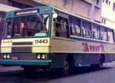 Ipanema/OF da fluminense 1001 (foto: Augusto Antônio).