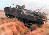 Charrua II (fonte: Jorge A. Ferreira Jr.).