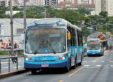 Dois dos 40 Mega BRT sobre chassi Volvo agregados ao corredor Anhanguera, de Goiânia (GO), em 2014 (fonte: Revista Abrati).