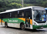 New Mega com mecânica Mercedes-Benz OF-1519 na frota da empresa Pedro Antônio, de Vassouras (RJ) (foto: Rafael da Silva Xarão / onibusbrasil).