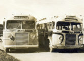 Os dois ônibus anteriores lado a lado.