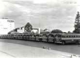 Frota de ônibus Nicola do Expresso Santos de Transportes, de Caxias do Sul (RS), com diversos modelos, construídos ao longo de toda a década de 50 (fonte: Régulo Franquine Ferrari).