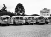 A mesma frota de cinco ônibus vista de frente; a fotografia foi tomada no Centro de Caxias do Sul.
