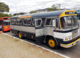 Nicola-LP de 1969 restaurado pelo Expresso Gardênia, de Belo Horizonte (MG), durante encontro de ônibus antigos em julho de 2017, em Pará de Minas (foto: Adamo Bazani /diariodotransporte).