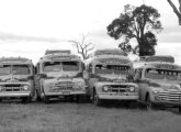 Frota inicial da Reunidas Transportes Coletivos, de Caçador (SC), fundada em 1950: dois Ford, um International e um Chevrolet, todos dos primeiros anos da década de 50 (fonte: Ivonaldo Holanda de Almeida / onibusetransporte).