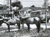 Pilares-LP em Madureira - uma cena suburbana carioca em 1963 (fonte: Madureira: Ontem & Hoje).